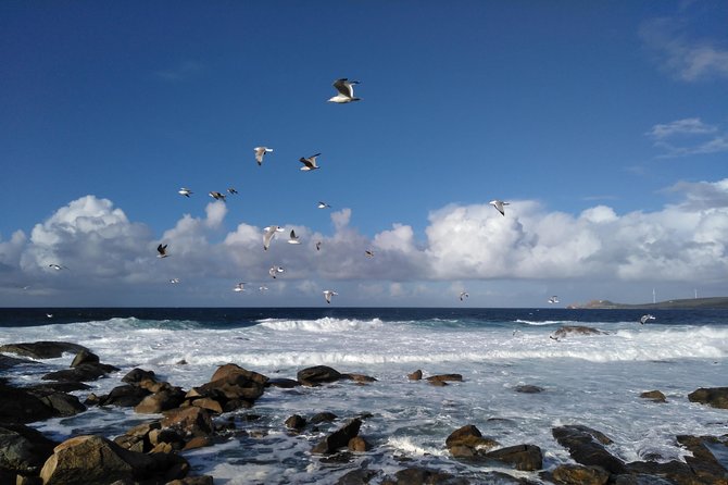 Santiago de Compostela: Finisterre, Muxía & Costa da Morte - Witnessing the Fervenza de Ezaro Waterfall