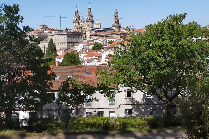 Santiago de Compostela Private Walking Tour with a Local - Customizing Your Santiago de Compostela Itinerary