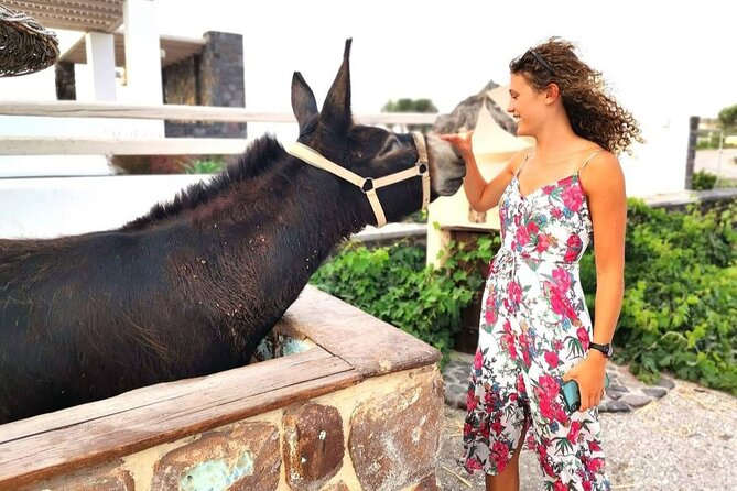 Santorini 4 hours Private Tour : Visit all the hotspots - Exploring Fira’s Capital and Its Iconic Architecture