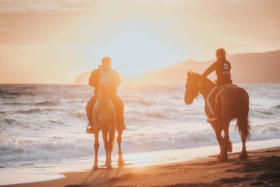 Santorini: Extreme Horse Safari with Beach Gallop - From the Stable to Santorini’s Black Beach