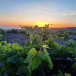 Santorini: From Reel to Real  Private Tour of Hidden Gems - Explore Santorini’s Most Famous Village: Oia