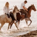 Santorini: Horse riding to the Black Sandy Beach (Eros beach) - The Scenic Hilltop Overlook and Photo Opportunity