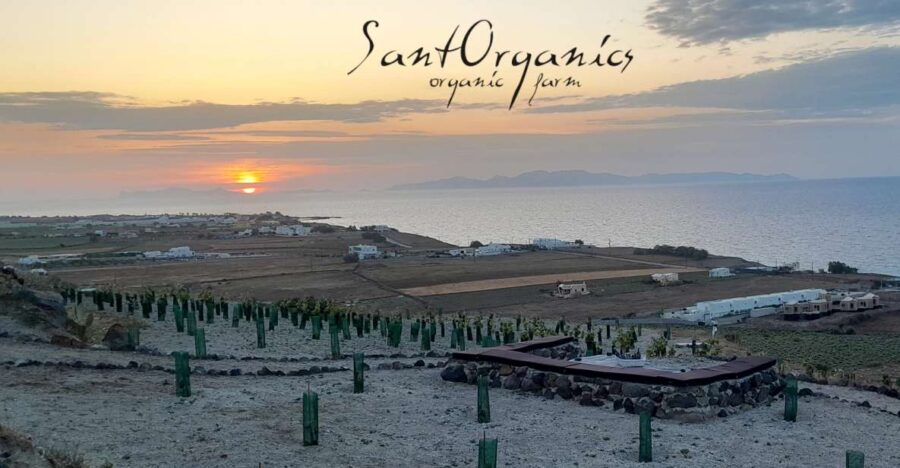 Santorini: Private Agri-Educational Visit to an Organic Farm - Starting Point and Tour Logistics in Santorini