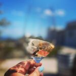 Santorini: Wine tasting in 3 Wineries and a Greek Meal group - Vineyard Tour and Wine Education at the Second Winery