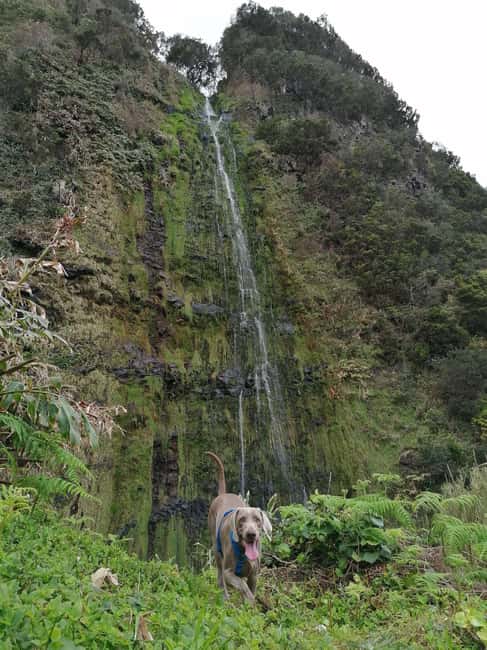 São Jorge: Fajã Camping and Hiking Tour - Exploring the Fajã da Caldeira de Santo Cristo