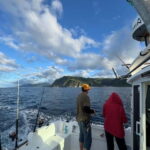 São Miguel: Boat Trip with SUP, Snorkelling & Barbecue - Exploring the South Coast of São Miguel: Povoação to Bays and Beaches