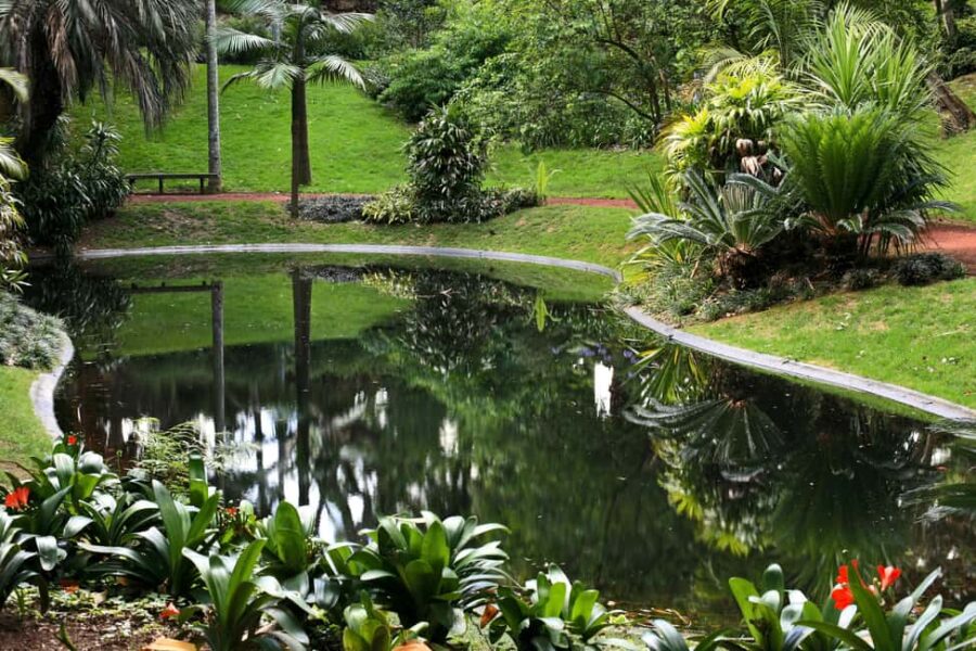 São Miguel: Botanical Gardens and Cave Tour - Starting Point and Transportation Details