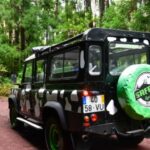 São Miguel Island: Full Day Furnas and Furnas Lake Tour - Scenic Drive Along Hidden Roads with Stunning Views