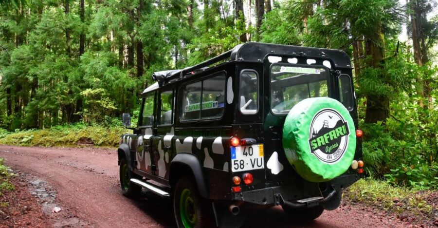 São Miguel Island: Full Day Furnas and Furnas Lake Tour - Scenic Drive Along Hidden Roads with Stunning Views