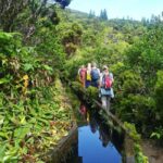 São Miguel: Lagoa do Fogo Hike - The Trail and Nature Walks