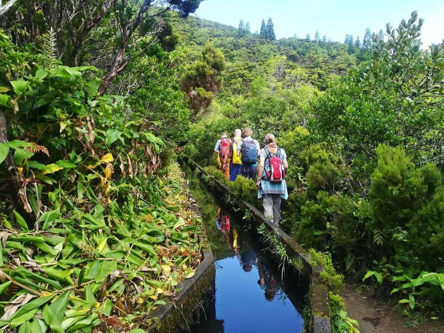 São Miguel: Lagoa do Fogo Hike - The Trail and Nature Walks
