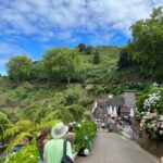 São Miguel: Nordeste Tour with Cow Milking - Comfortable Transportation and Convenient Pickup