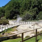 São Miguel Private Jeep 4×4  Furnas & East - Visiting the Gorreana Tea Plantation for a Guided Tour