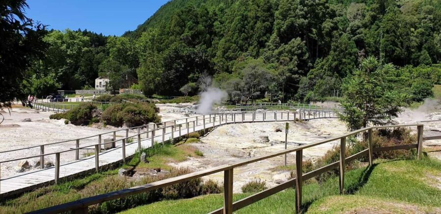 São Miguel Private Jeep 4×4  Furnas & East - Visiting the Gorreana Tea Plantation for a Guided Tour