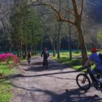 São Miguel: Sete Cidades Experience - Exploring the Sete Cidades Area and Its Legends