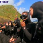 Sao Miguel: Snorkeling around Vila Franca do Campo - What Marine Life Will You See?