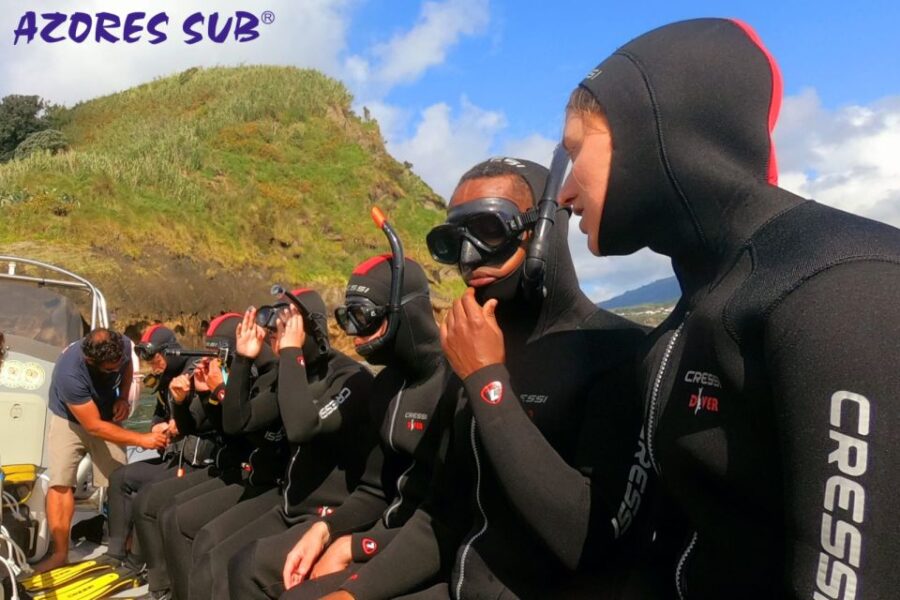 Sao Miguel: Snorkeling around Vila Franca do Campo - What Marine Life Will You See?