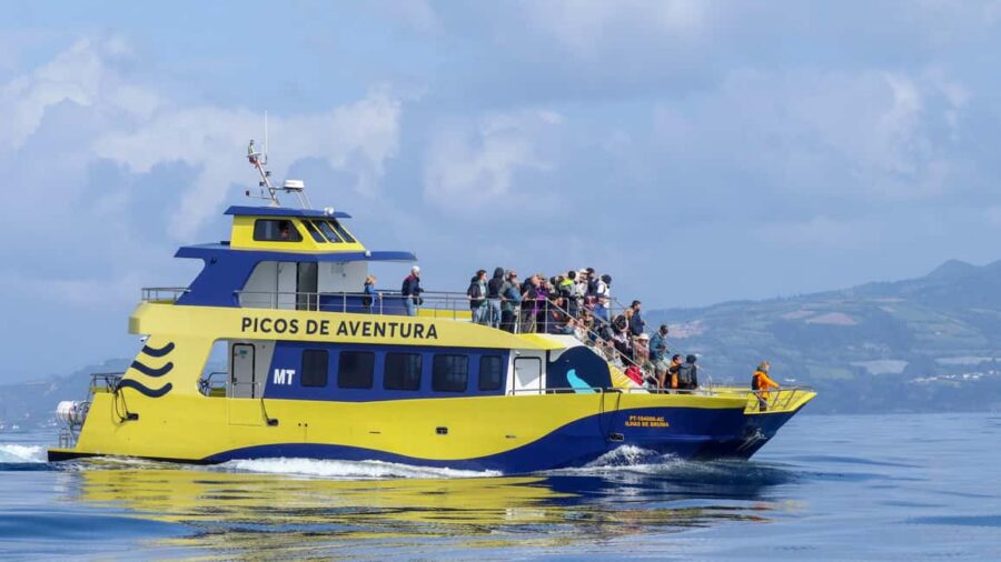 São Miguel: Whale-Watching Cruise with Marine Biologist - The Marine Biologist-Led Approach Ensures Responsible Wildlife Viewing