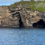 São Roque Islet tour & Snorkeling - The Ecosystems and Marine Life Around São Roque Islet