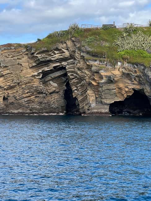 São Roque Islet tour & Snorkeling - The Ecosystems and Marine Life Around São Roque Islet