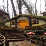 Sapanca - Masukiye Full Day Tour with Lunch - Exploring Sakarya City and Turkish Delight