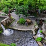 Sapanca Maukiye tour from Istanbul - Exploring Sapanca: An Ideal Nature Escape