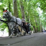 Sarajevo: Vrelo Bosne Nature Park Private Tour - Vrelo Bosne: The Heart of Bosnian Nature and Springs