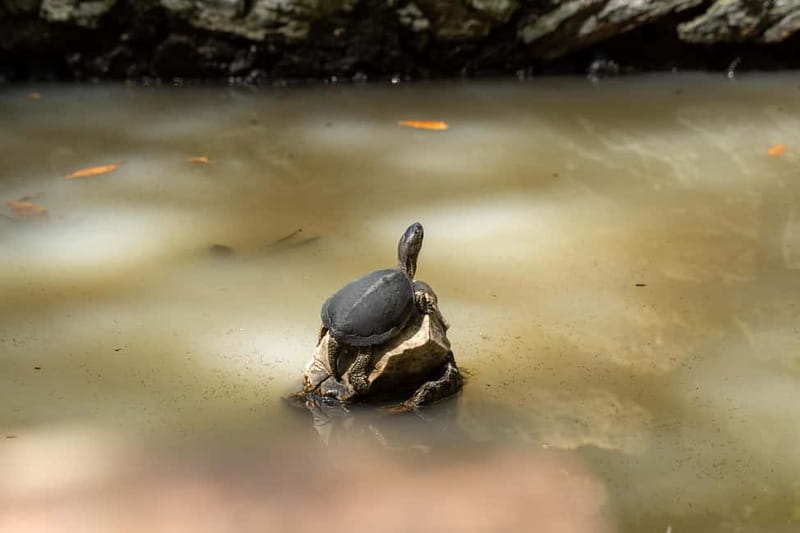 Saranda 1-Day: Butrint, Ksamil, Blue Eye & Lekuresi Castle - Starting Point and Transport Logistics