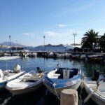 Saranda: Private Fishing Tour - What Fish Species Can You Expect to Catch?