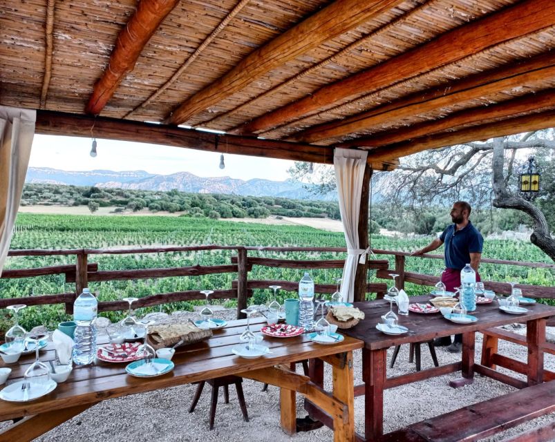 Sardinia: Dorgali Winery Tour with Tasting and Local Guide - Visiting the Family-Run Dorgali Winery in Sardinia