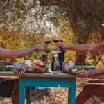 Sardinian Olive Oil tasting & Picnic among the olive trees - Tasting Flavored Olive Oils Among Centenary Olive Trees