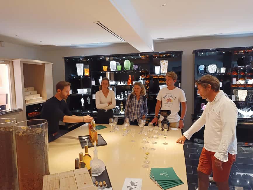 Sauternes: discover the vineyards by E-bike in total privacy - Cycling Along the Cirons Stream through Vineyards and Castles