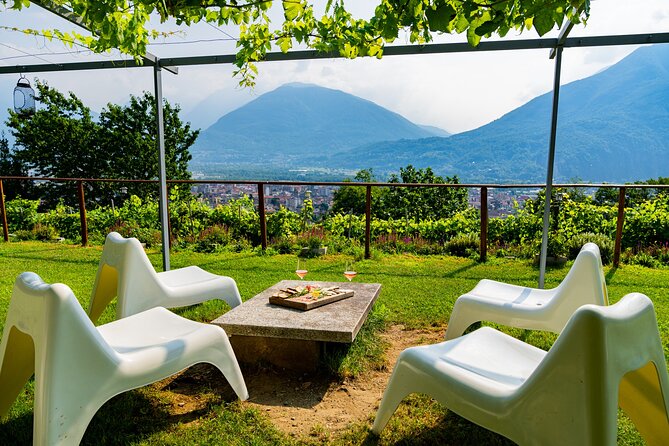 Savor Ossola Wines & Local Treats in a Scenic Vineyard - Visiting Azienda Vitivinicola Edoardo Patrone in Domodossola