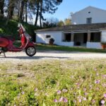 Savour The Flavors Of Corfu Vespa Scooter Tour - The Vespa Scooter Rental and Safety Briefing
