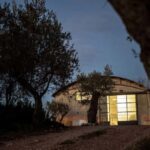 Savuto: Tour of the vineyards and visit to the winery with tastings - Visiting the Le Moire Winery in Calabria