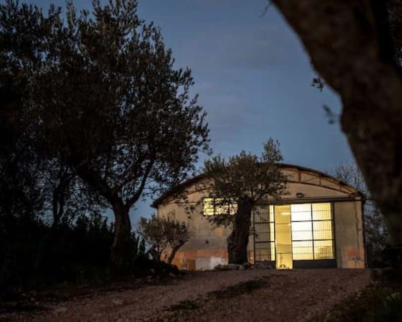 Savuto: Tour of the vineyards and visit to the winery with tastings - Visiting the Le Moire Winery in Calabria