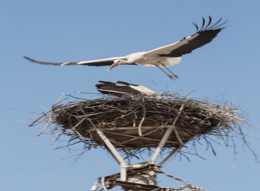 SB02 - Surroundings of Sibiu:Saxon Heritage &Scenic Villages - From Sibiu to the Ancient Fortress of Cisnadioara