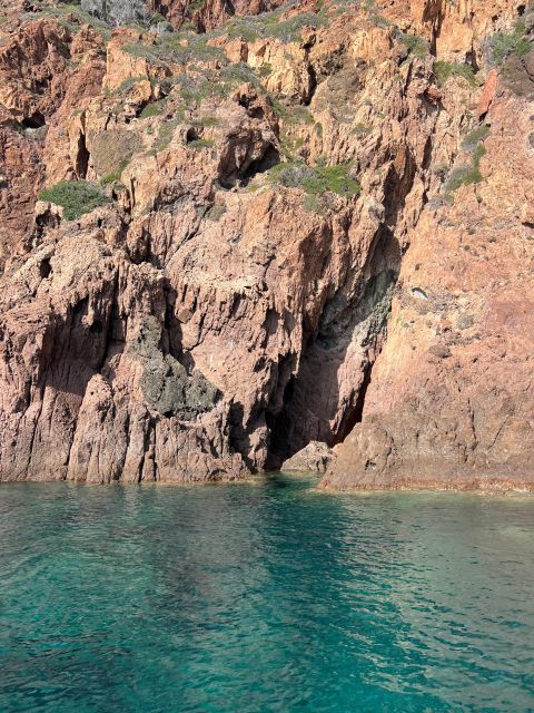 Scandola, Piana & Girolata - Exploring the Scenic Cliffs, Rocky Islets, and Marine Flora
