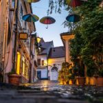 Scenic Danube River bend hills & the Art Town: Private Car Tour - The Charm of Classic Cars and Personal Guides