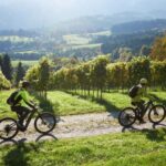 Schilcherland E-Bike Tour with Exclusive Wine Tasting - Meeting Point and Practical Details in St. Stefan ob Stainz