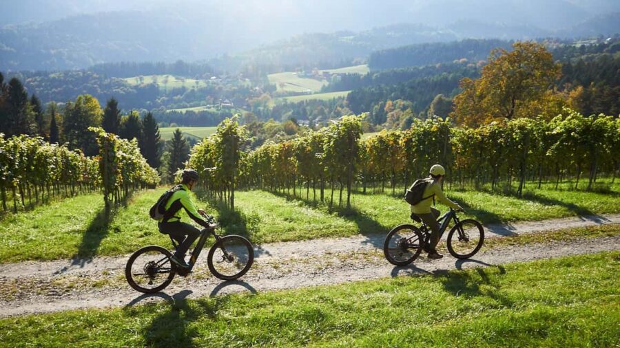 Schilcherland E-Bike Tour with Exclusive Wine Tasting - Meeting Point and Practical Details in St. Stefan ob Stainz