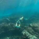 Scooter fun snorcel tour in turtle area - The Starting Point at Abades Beach in a Protected Natural Park