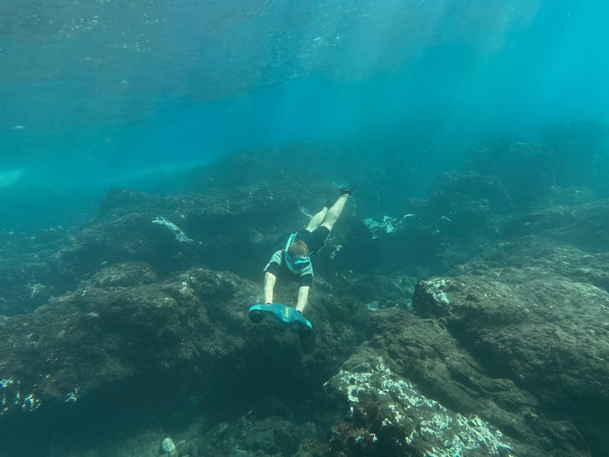 Scooter fun snorcel tour in turtle area - The Starting Point at Abades Beach in a Protected Natural Park