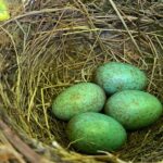 Scoprire la Vera Tintilia del Molise, Autentico ed Eccellenso - The Cantina and Production Philosophy