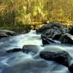 Scotland's Glens, Highlands & Whisky Day Trip from Edinburgh - Starting Point: Edinburghs Highland Explorer Tours Office