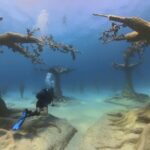 Scuba Diving Experience & MUSAN Dive + Free Edited Video 2xdives - Meeting Point at Nautilus Scuba Diving Centre in Protaras