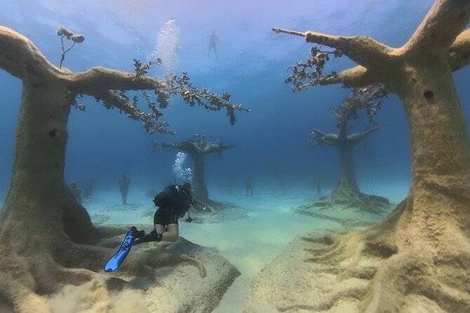 Scuba Diving Experience & MUSAN Dive + Free Edited Video 2xdives - Meeting Point at Nautilus Scuba Diving Centre in Protaras