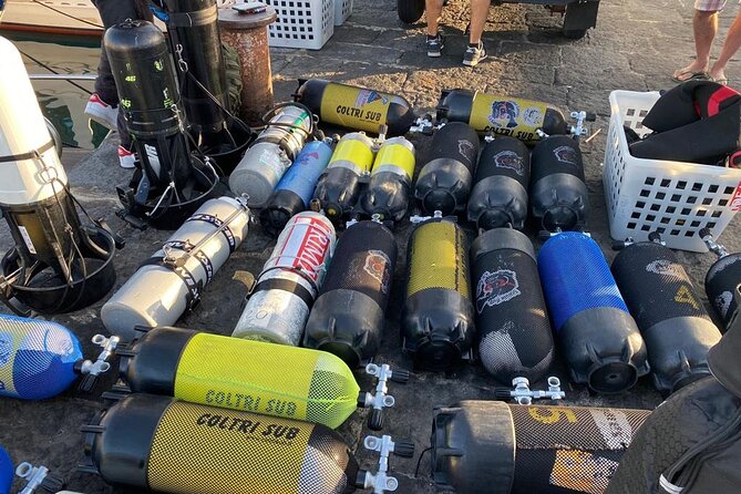 Scuba Diving Experience - Equipment and Safety Measures on the Tour