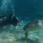 SCUBA DIVING first time experience - Shallow Water Practice for Confidence Building