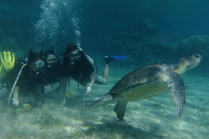 SCUBA DIVING first time experience - Shallow Water Practice for Confidence Building